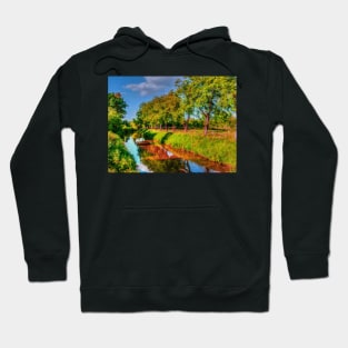 Bata Canal Strážnice painting, oil painting, nature Hoodie